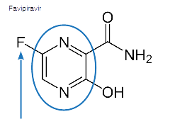 favipiravir3