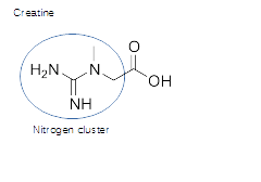 Creatinenitrogencluster