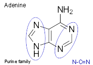 adenine