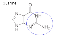 quanine