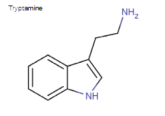 tryptaminename