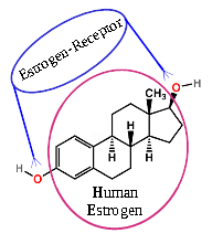 estrogen Mailbox2