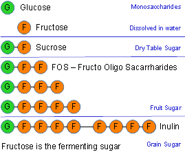 sucrose inulin3